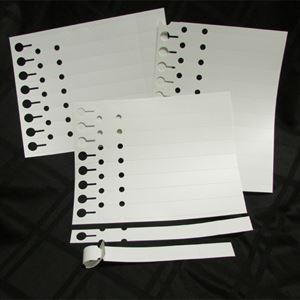 Picture of Laser Strip Tags