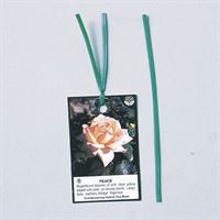 Picture for category Tag & Label Attachments