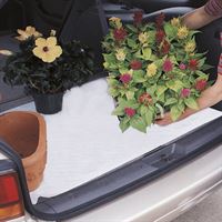 Picture for category Trunk Mats